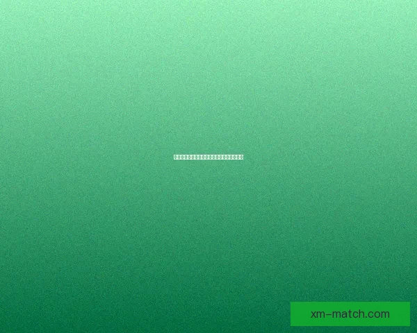 熊猫体育直播带你实时畅享全球赛事精彩瞬间