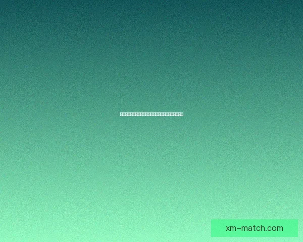 熊猫体育APP全面升级助力用户畅享极速赛事体验