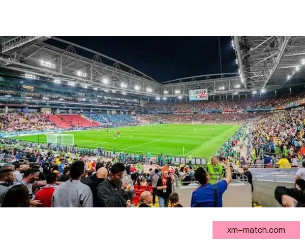 揭秘世界杯买球盘口背后的策略与投注技巧全解析